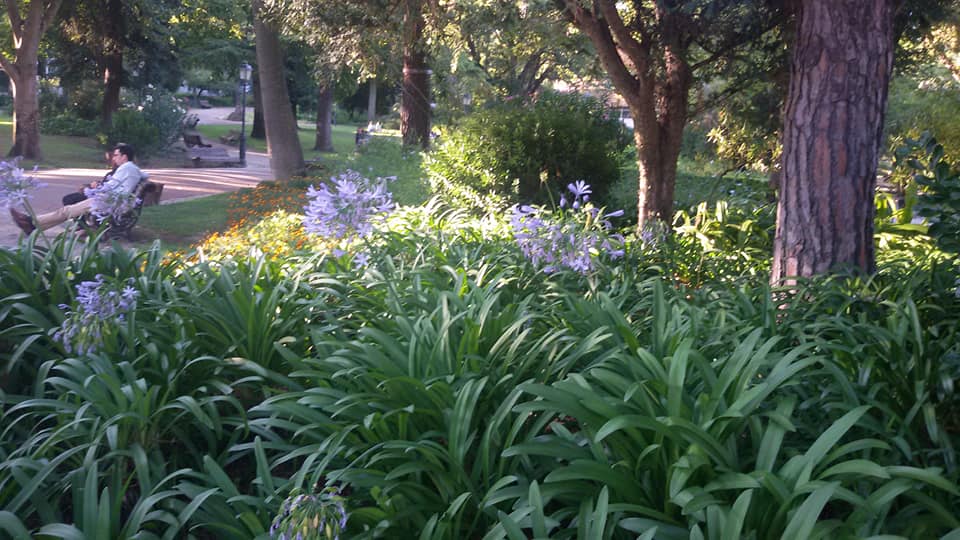 Jardim da Estrela